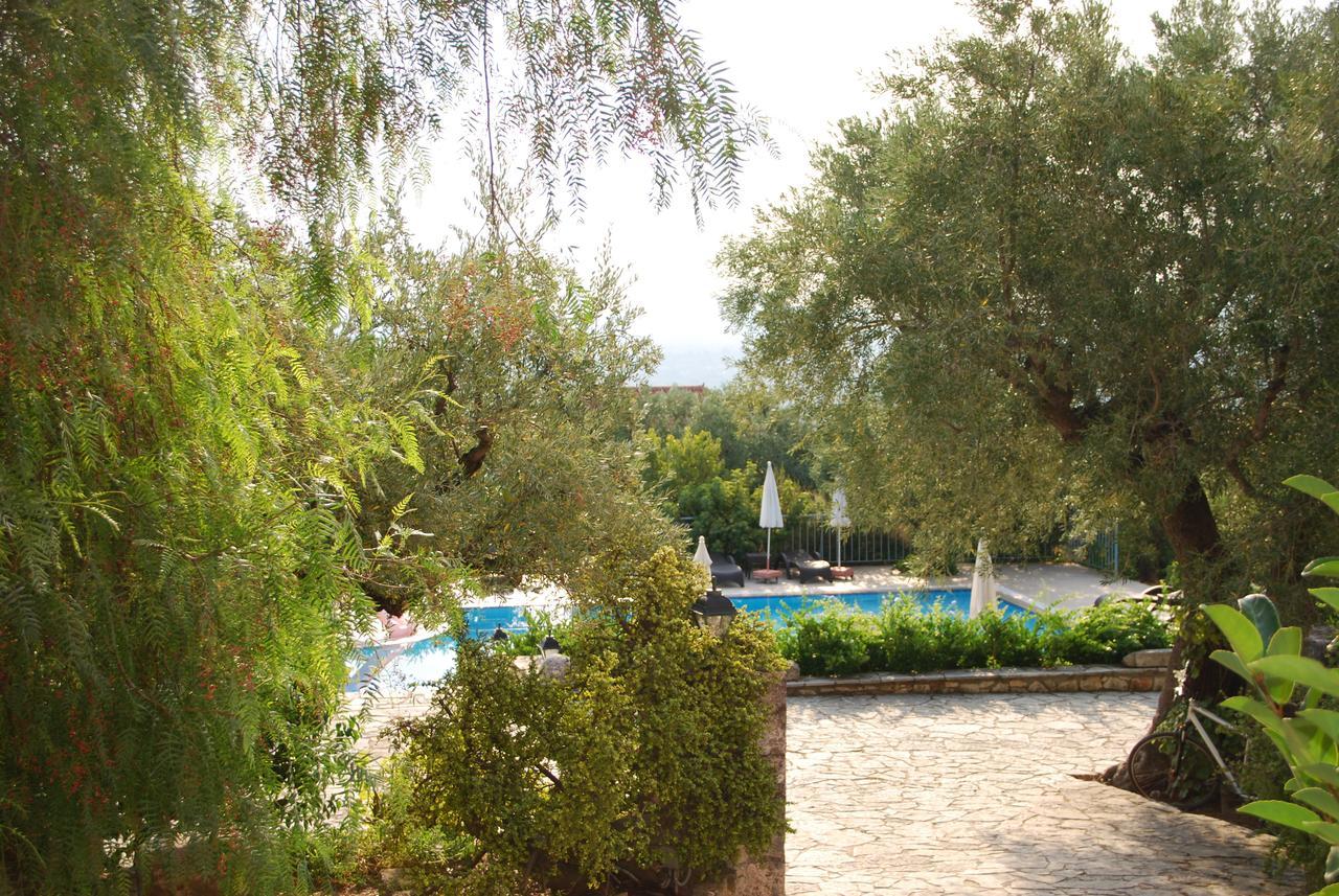Anatoli Labreon Hotel Agia Marina  Luaran gambar